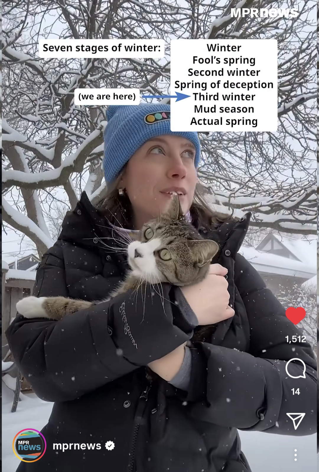 Woman in black snow caot and light blue knit hat holding a grey and white stripped tabby cat. she is standing outside her home in the falling snow. Text reads: Seven stages of winter: Winter, Fool's Spring, Second Winter, Spring of Deception, Third Winter, Mud Season, Actual Spring. Text reads (we are here) with an arrow pointing to Third Winter.