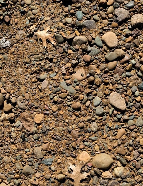 Explosed river rocks and pebbles and two of last season's leaves.