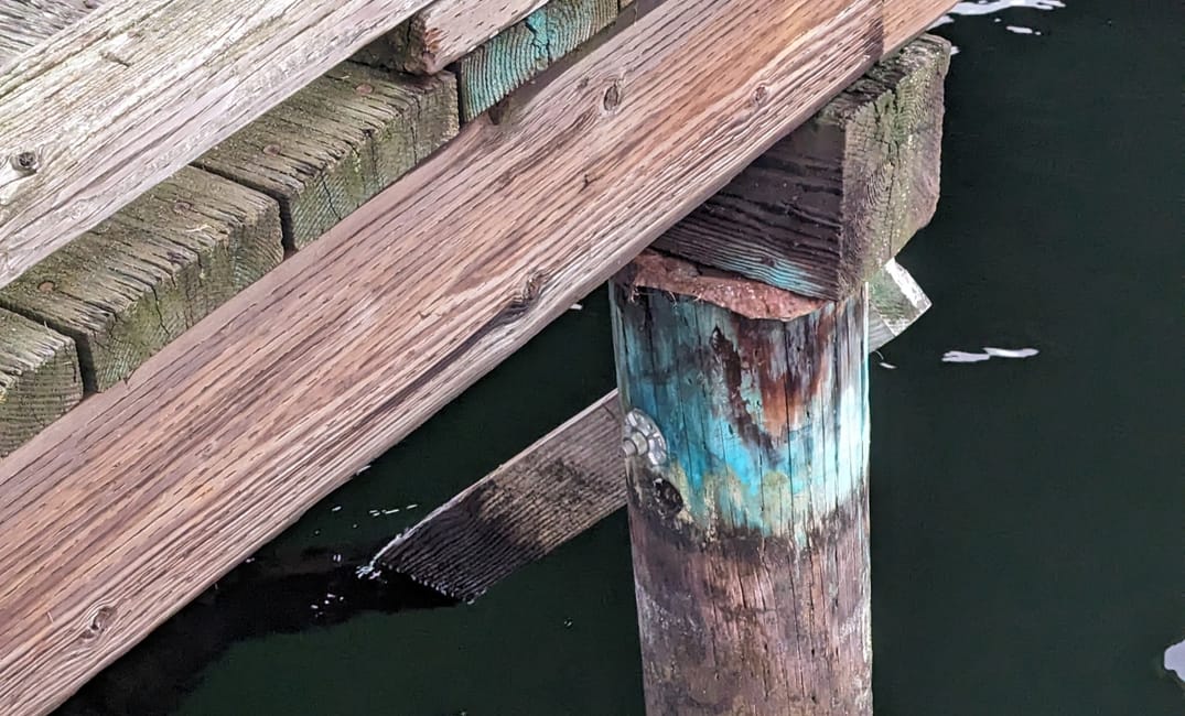 Corner of a dock where it meets the water at Mt Baker Beach on Lake Washington.