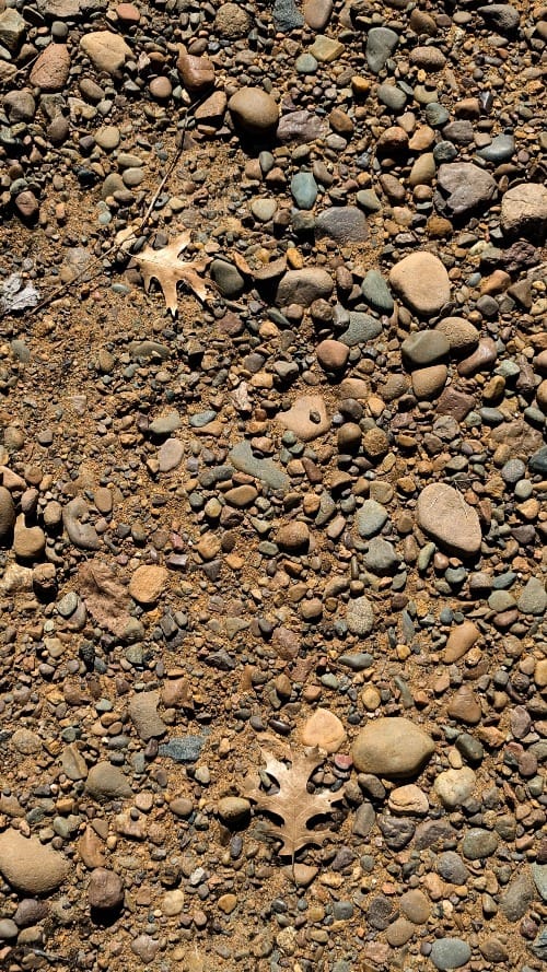 Explosed river rocks and pebbles and two of last season's leaves.