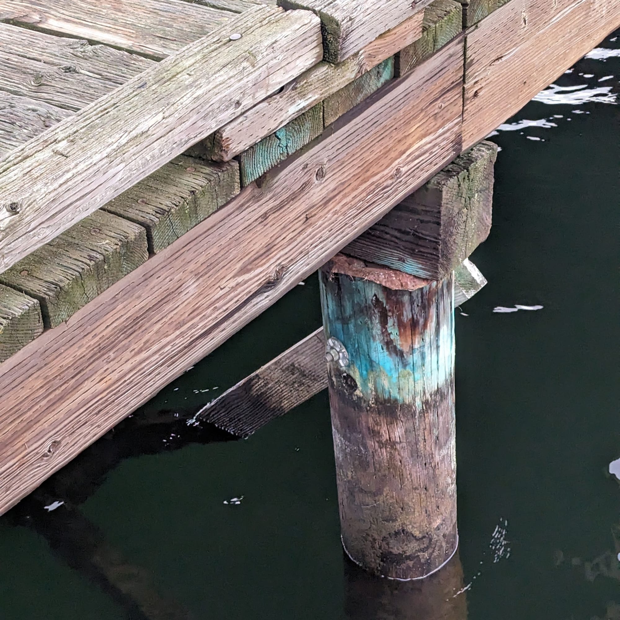 Corner of a dock where it meets the water at Mt Baker Beach on Lake Washington.
