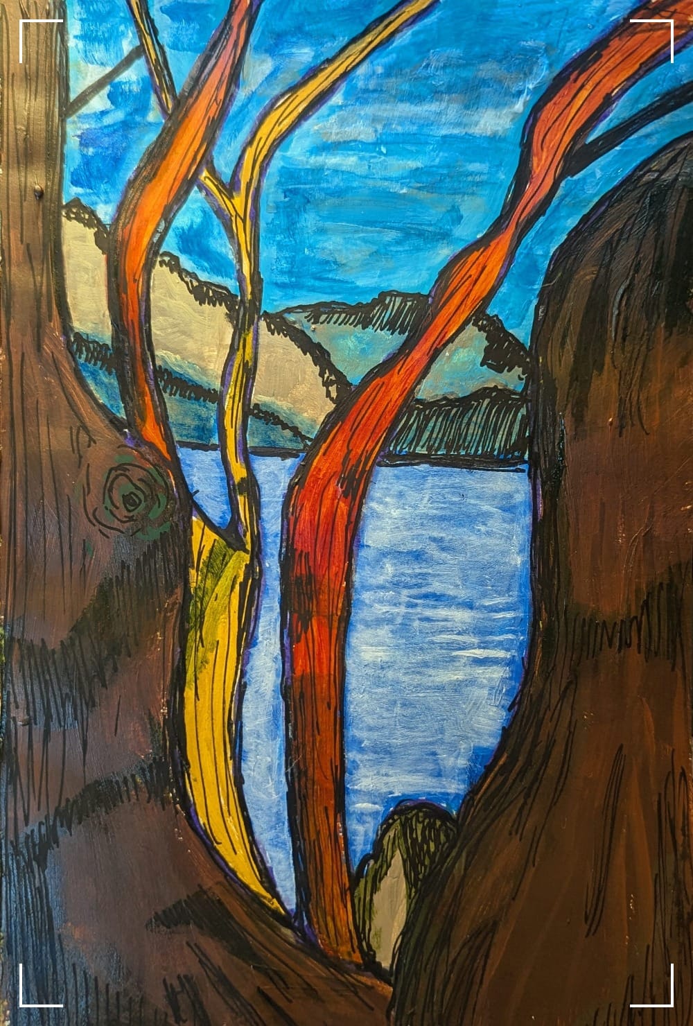 A net for catching days